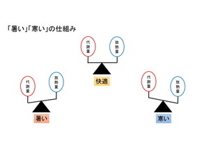 暑い寒い仕組み