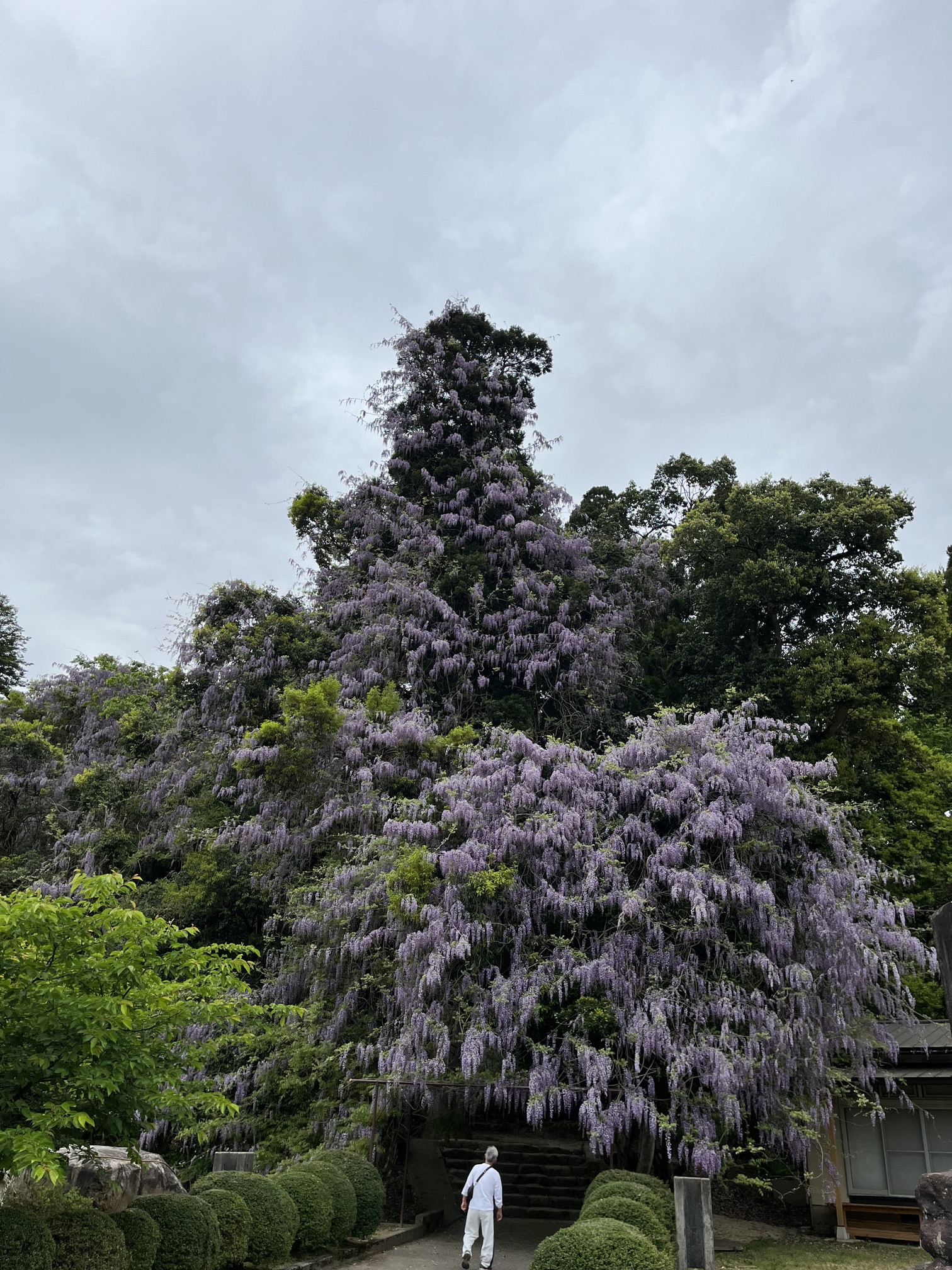 磯部神社③