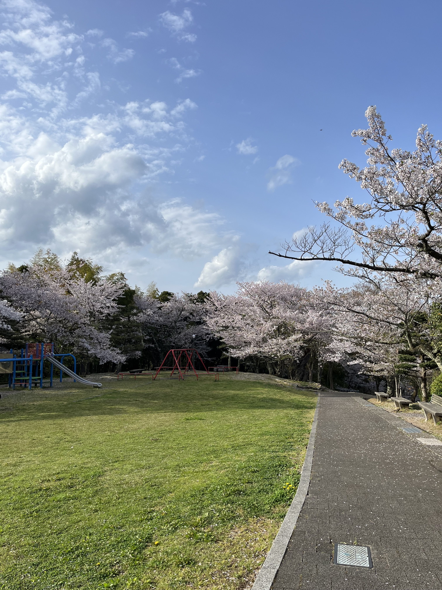 朝日山公園①